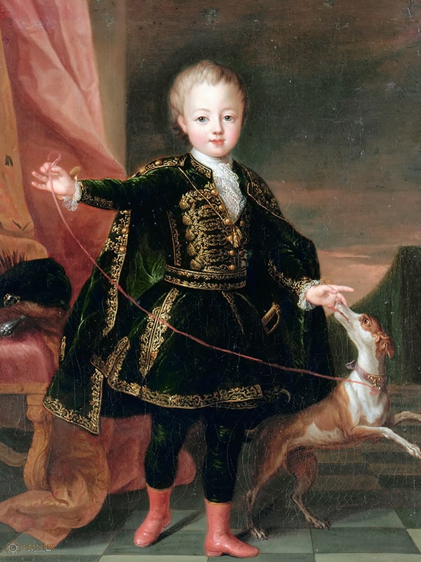 Prince of Lorraine - custom blanket